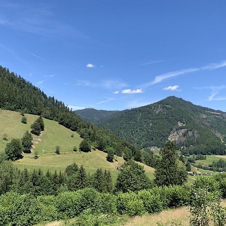 Ferienwohnung Sonnenterrasse Todtmoos Esterno foto